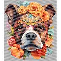 Animal Integration-DW 559